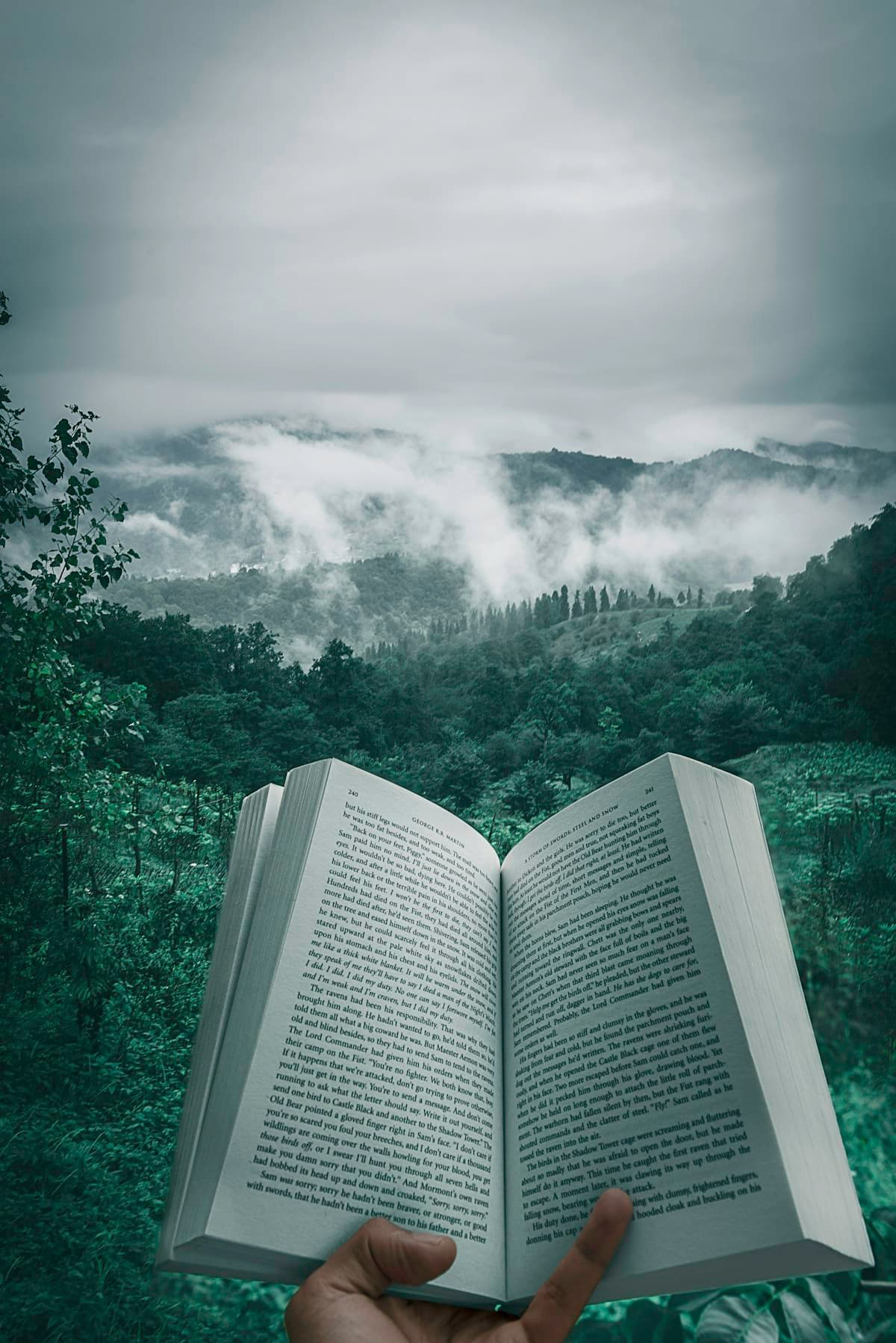 Revisiting Prophecy: Asa's 'Fire on the Mountain' and Today's Media-Culture War and Attention Economy