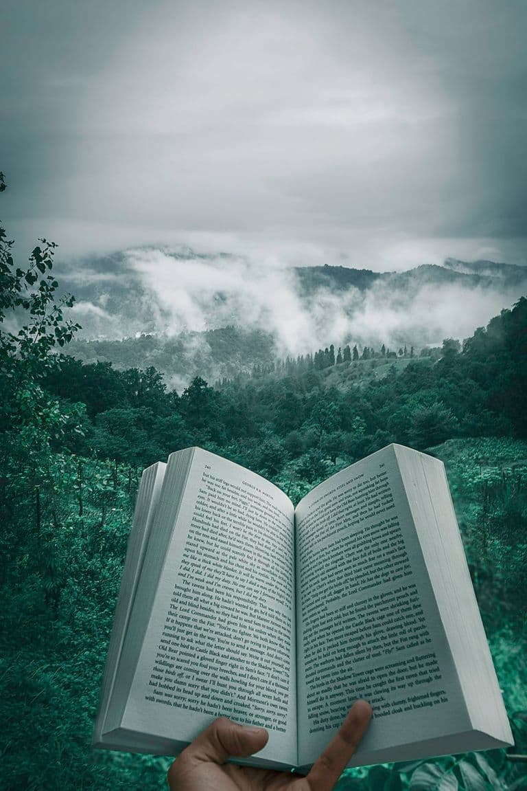 Revisiting Prophecy: Asa's 'Fire on the Mountain' and Today's Media-Culture War and Attention Economy